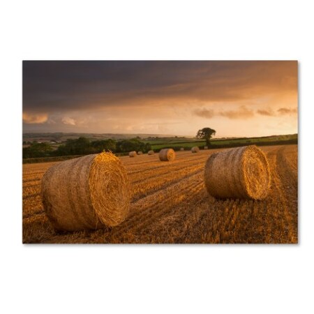 Trademark Fine Art Adam Burton 'After the Rain' Canvas Art, 12x19 ALI7290-C1219GG